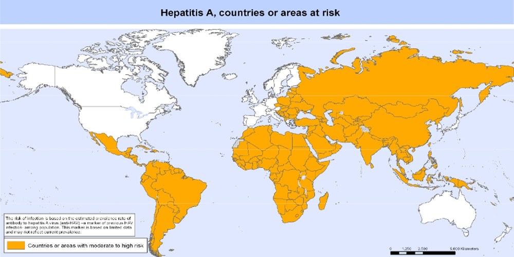 ministerio salud hepatitis enfermedad vacuna internacional