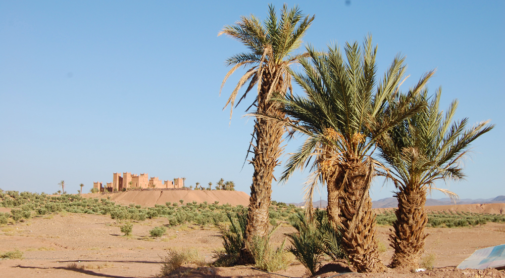 La prueba PCR y el test serológico son obligatorios para ir a Marruecos. 