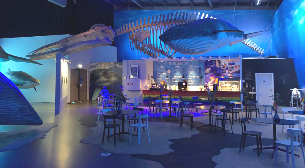 La cafetería del museo de ballenas de Islandia