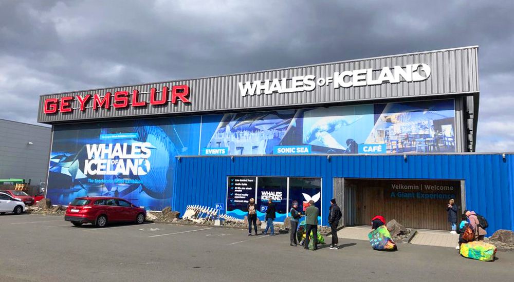 museo de ballenas de Islandia
