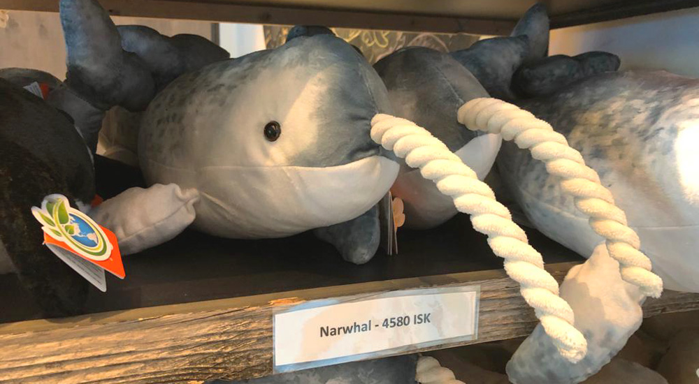 Tienda de souvenirs del museo de ballenas de Islandia